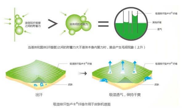 �{(l��n)Ʒ����R���w�S����ˬ˯�߲��ǉ���