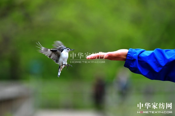 ��(d��o)ُ(g��u)��Ϋ@��͵����θ���