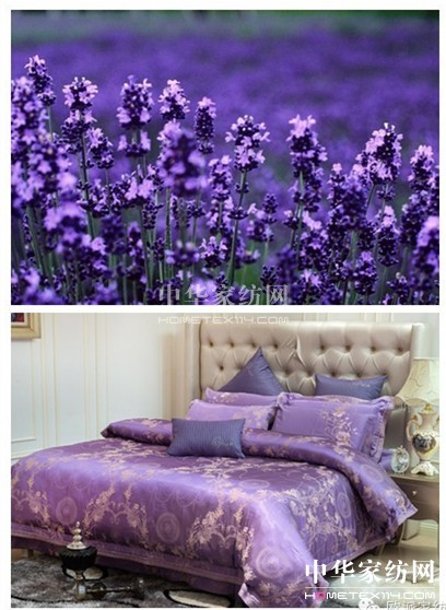 �W�ɼҼ���ȫ����������ʥ��