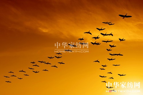 �I(l��ng)��(d��o)��֮���������u(y��)�ͷ�(w��n)��