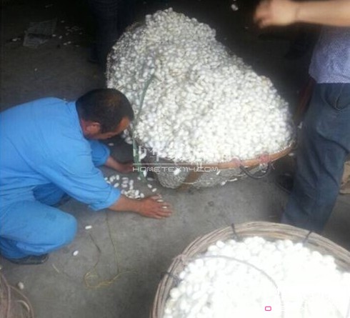 ͩ�l(xi��ng)�����d�ȵ��_ʼ��ُ���괺�O