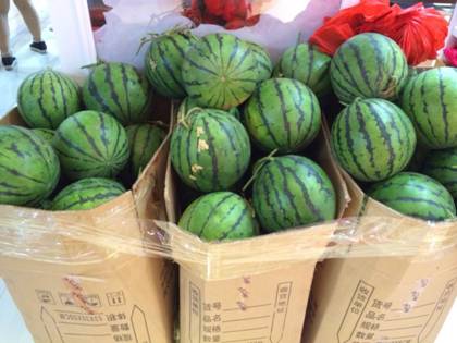 �W�ɼҼ�ƽ�ȵ�������}���M������