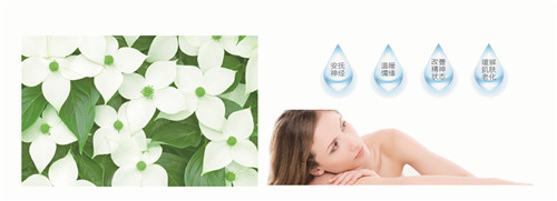 �{�׷���R���w�S���������z�y����ȫ�ɿ�