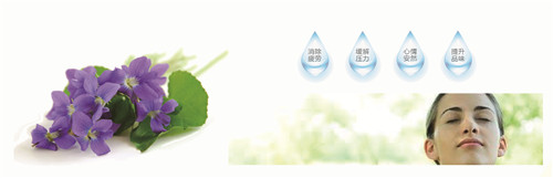 �{�׷���R���w�S���������z�y����ȫ�ɿ�