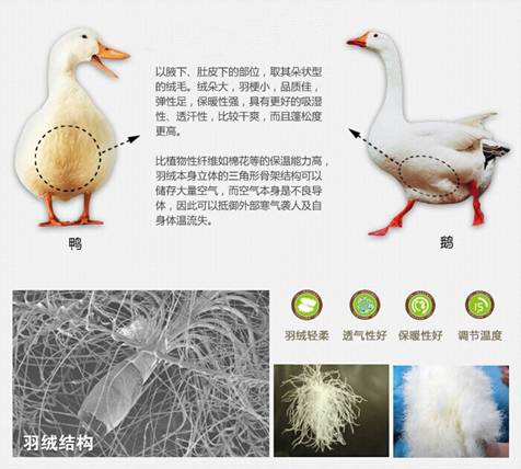 �W�ɼҼ����������u�������xُ��Ʒ����q��