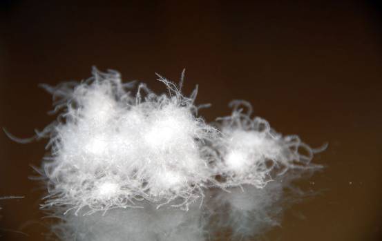 �W�ɼҼ����������u�������xُ��Ʒ����q��