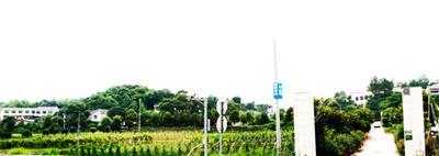 �����Ҽ����ٮ��ЙC���B(t��i)�r�f ׌�T�����Ϸ��Ĳ�