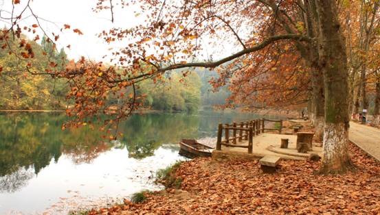 ɼɼ�Ҽ����@���������c�ゃ��һ��