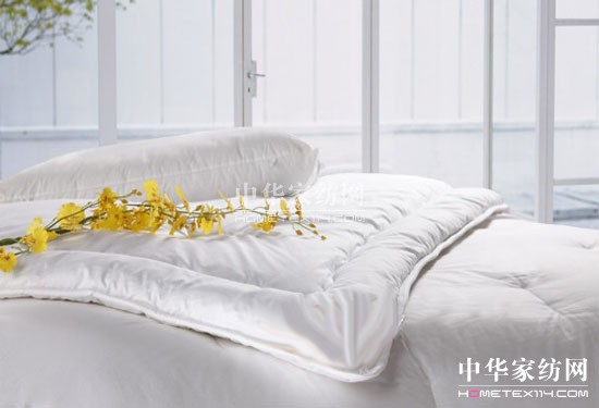 �Ă��Ҽ�Ʒ�Ƶ���q�����^��