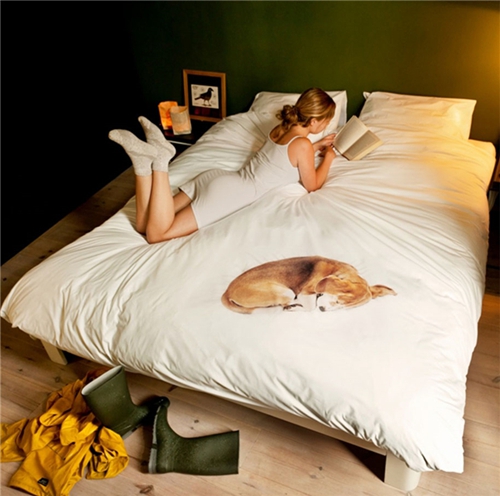 ������Ʒ��׃��(chu��ng)��׌˯�߳�M��(l��)Ȥ