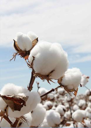 �W�ɼҼ������������ۼ���һ�ӵğ��