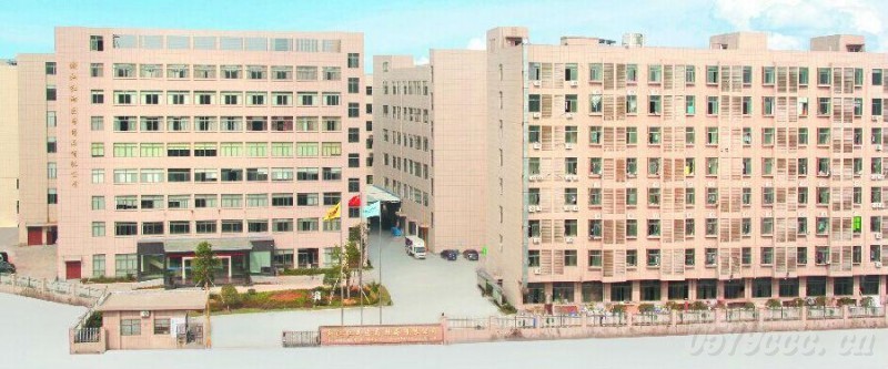 �t���t(y��)ˎ���������x����������˼·