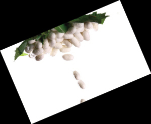 �Q�z���q�r������]�ך���