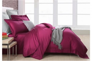 �Ҽ�ץס���^����׌��͎���