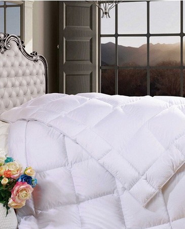 �����ȼҼ�������������(zh��n)�������^(gu��)��