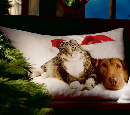 ���r�мҼ�Ʒ��ʥ�Q��(ji��)Ԫ�ؿ��|�������C(j��)����