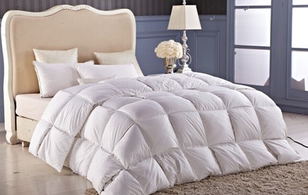 ���_�m�qĩ���u��g���ݡ����f�õĲ�Ҋ��ɢ��