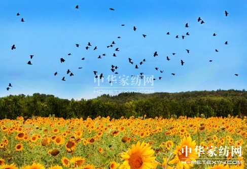 ����һ��ȥ���_��˹���s�᣿