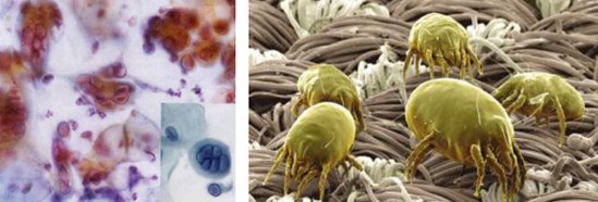 ���_�m�Ҽ�������˯��������˯��������