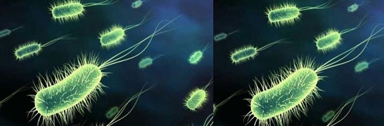 ���_�m�Ҽ�������˯��������˯��������