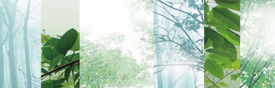 ���_�m���C(j��)�Ҽ���߀ԭ���Rԭ���B(t��i)ƽ��h(hu��n)��