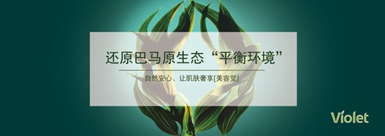 ����˯����ه��Violet���C�Ҽ�