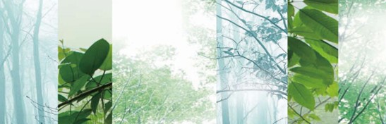 ����˯����ه��Violet���C�Ҽ�