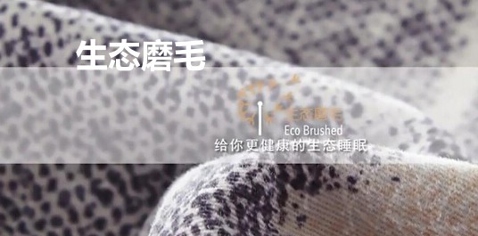 ���_�m���B(t��i)ĥë��Ʒ��׌˯�߻ؚw�������|(zh��)