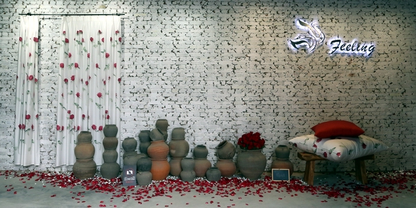 ���`����Ҋ����----FEELINGƷ�ưl(f��)����(hu��)�ڱ���������Hˇ�g(sh��)�@�^(q��)�e��