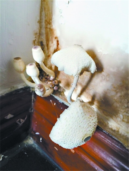 �û�����Ҿ���Ʒ�������^������ˬ��÷�꼾