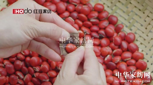 �t���Ҽ���Ϧ��(ji��)���o�㲻һ�ӵĐ�(��i)