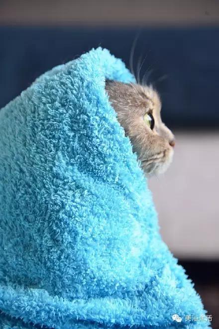 ��ԡ���ë�����Ԍ�����ë��Ҳ�����v����