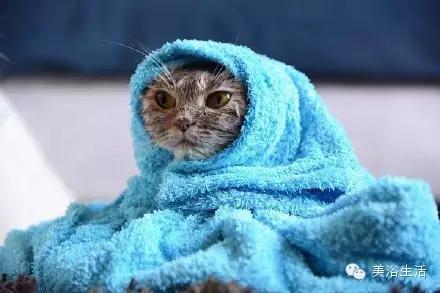 ��ԡ���ë�����Ԍ�����ë��Ҳ�����v����