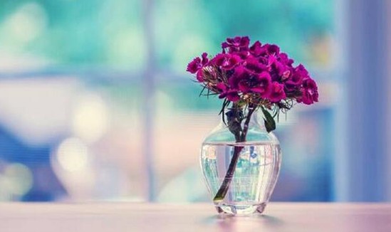 ���_�m�Ҽ�����(d��ng)����������z��˲�g�������Ử�ڻ�