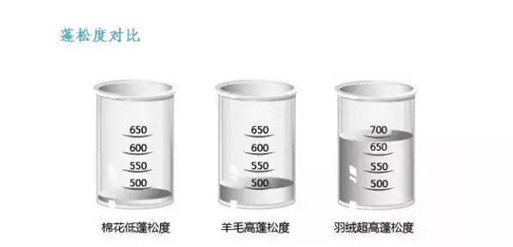 ���t���Ҽ���о��(ji��)�����m��������һ�l��q���_ʼ