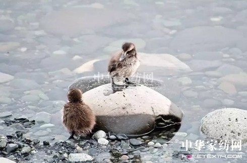 ������27�f(w��n)�I(m��i)�²���Ҽ�"����"��"����"��