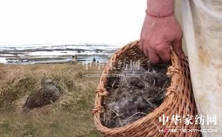 ���⣡27�f(w��n)�I(m��i)�²���Ҽ�"����"��"����"��