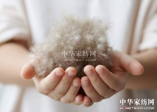 ������27�f(w��n)�I(m��i)�²���Ҽ�"����"��"����"��