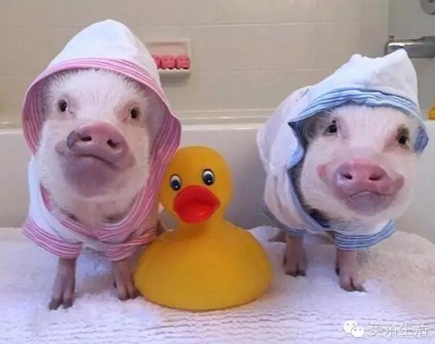 ��ԡ���һ�l��ԡ�����͎��o�㲻�Զ������Ҹ���