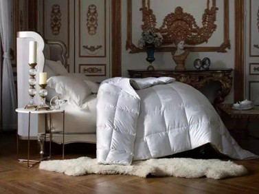 19�f(w��n)8���I����Ҽ�����������(d��ng)�ފy��ĺ����Ԇ᣿