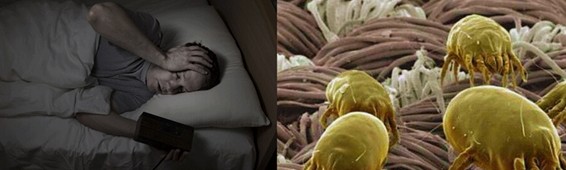 ���z�R�����_�����B(t��i)���ܼҾ�4.0�r��