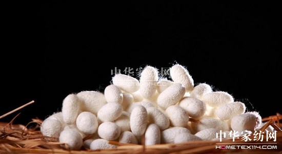 ���z�R�����_�����B(t��i)���ܼҾ�4.0�r��