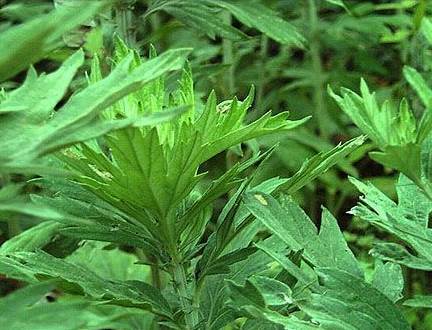 ���ľӼ�����ٛ���x�Ҽ����������B(y��ng)����