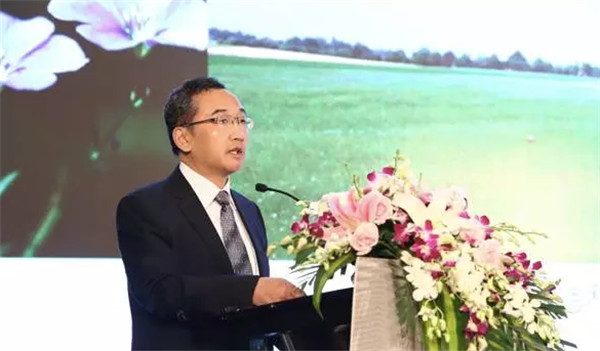 �����׃�����(chu��ng)������δ����2017�Ї����������Ϻ����_