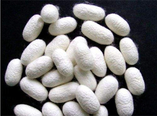 ͬ���ǽz�����W�_���{ʲô���f�������R����