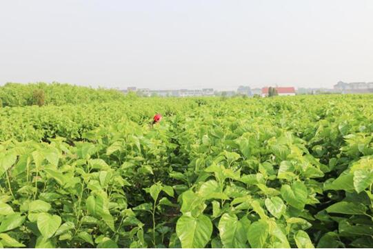 �X�ʽz�I�@��2017�Ї��Ҽ��Ӽ��\��Ʒ�ƪ������I(y��)��(n��i)������ϵ�y(t��ng)�x���ЌmԷ�Q�z��