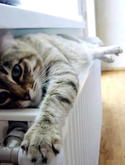 Ϧ�̽z�I�W(xu��)�á������f