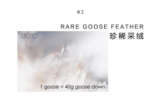 ����Ҽ����m�����q���¾��p��������