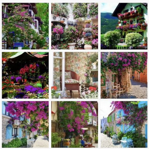 С�[�T��������D(zhu��n)����Ȧ�����cҪ�󲻿�����������ƽ