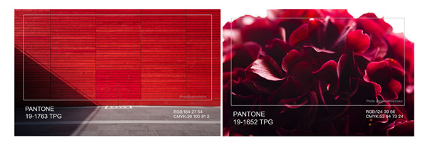 �Ї�����ɫ�f(xi��)��(hu��)�l(f��)�������Ҿ�����ɫ������ɫ������t